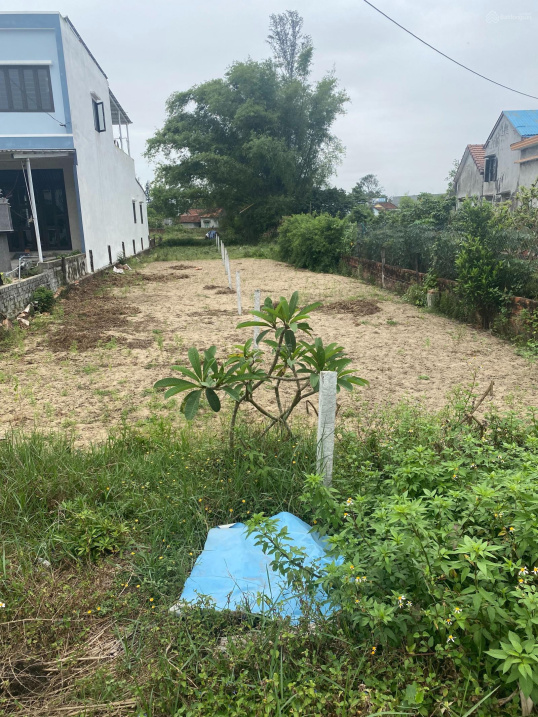 Tôi chính chủ kẹt tiền cần bán gấp 1 lô duy nhất - mặt tiền đường ĐT607B - Giá đầu tư (sạch đẹp)