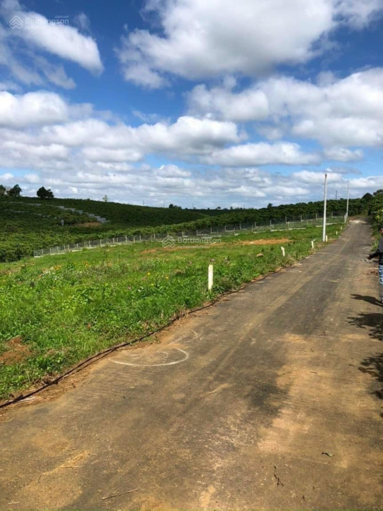 Trung tâm Phường Lộc Phát, Bảo Lộc 548m2 - SHR