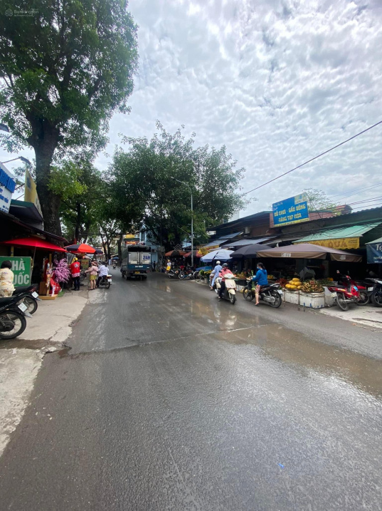 Vỡ nợ bán gấp nhà đất MP Lạc Long Quân - Tây Hồ 201m2 MT 10m giá 90 tỷ TL mạnh