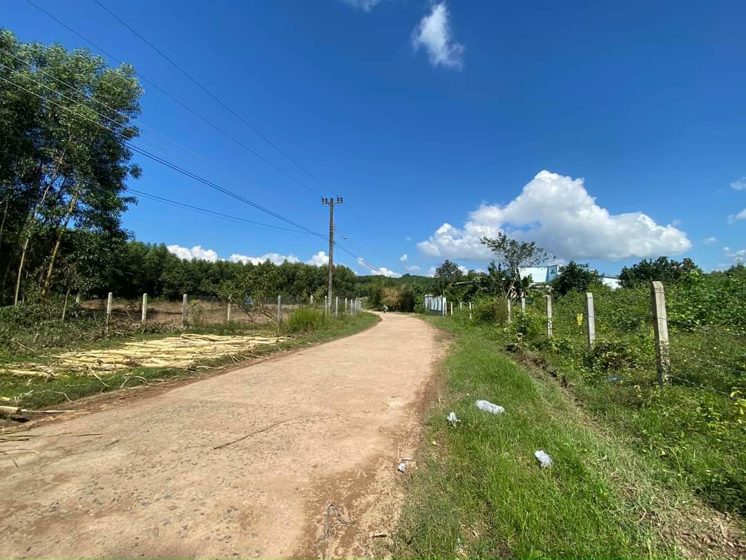 Bán đất Diên Xuân mặt tiền đường bê tông liên thôn giá rẻ