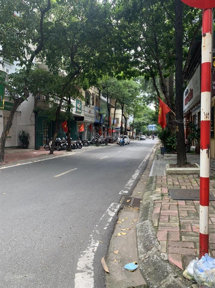 CHÍNH CHỦ NHỜ BÁN MẶT NGÕ 34 NGUYỄN THỊ ĐỊNH, ÔTÔ TRÁNH, VỈA HÈ 2 BÊN, 52M2*2 THOÁNG 12TỶ