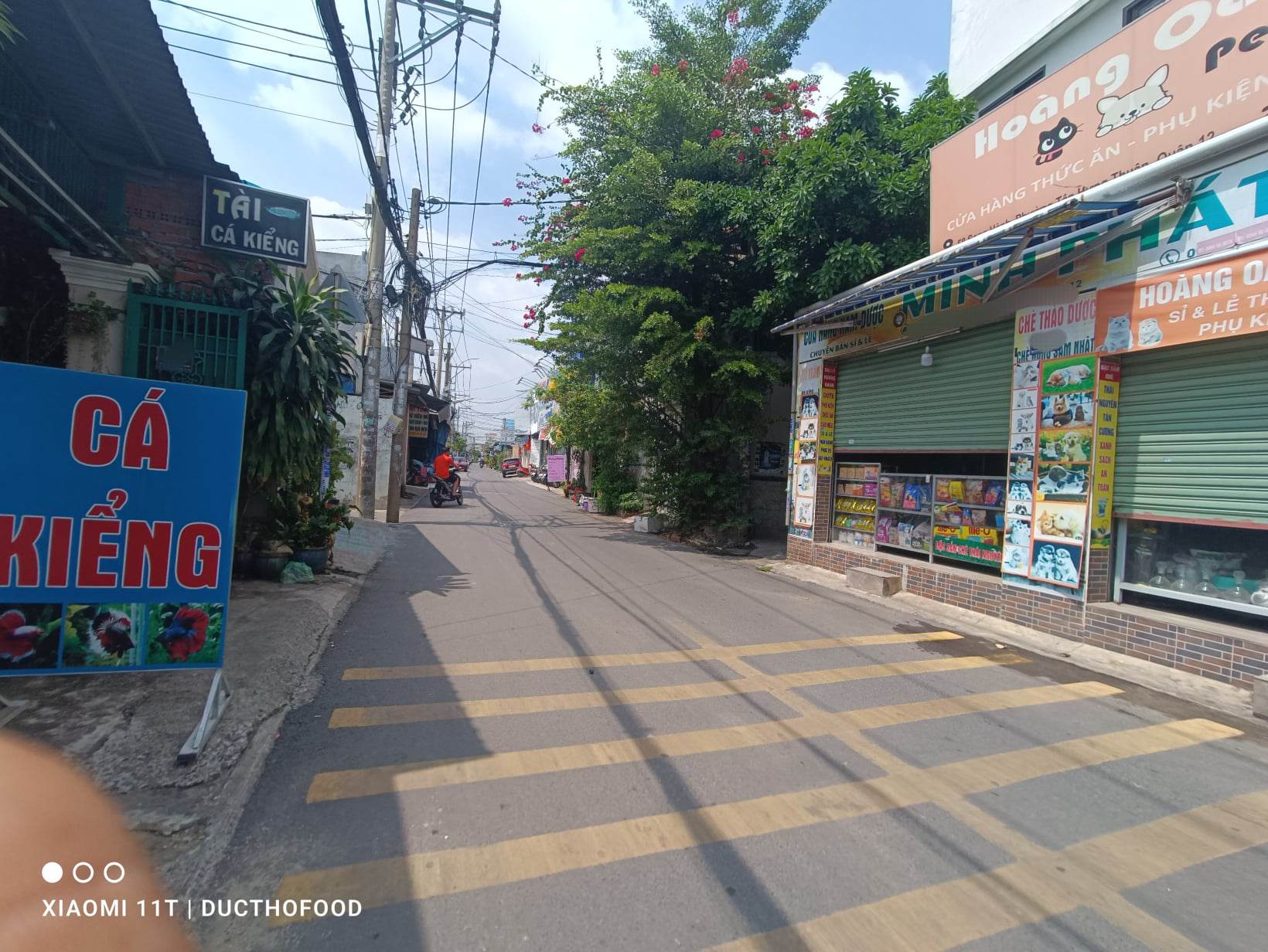 Bán đất tặng nhà 71m2, nở hậu 6.2m, HXT 6m Tân Thới Nhất, Quận 12, hơn 3tỷ