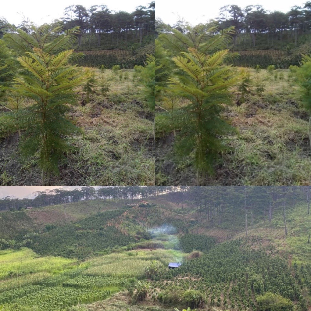 CHÍNH CHỦ CẦN BÁN LÔ ĐẤT TẠI THÀNH PHỐ ĐÀ LẠT