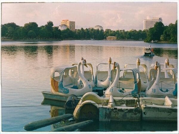 Dã ngoại cuối tuần tại Công viên Thống Nhất Hà Nội 2 cong-vien-thong-nhat-ha-noi-2