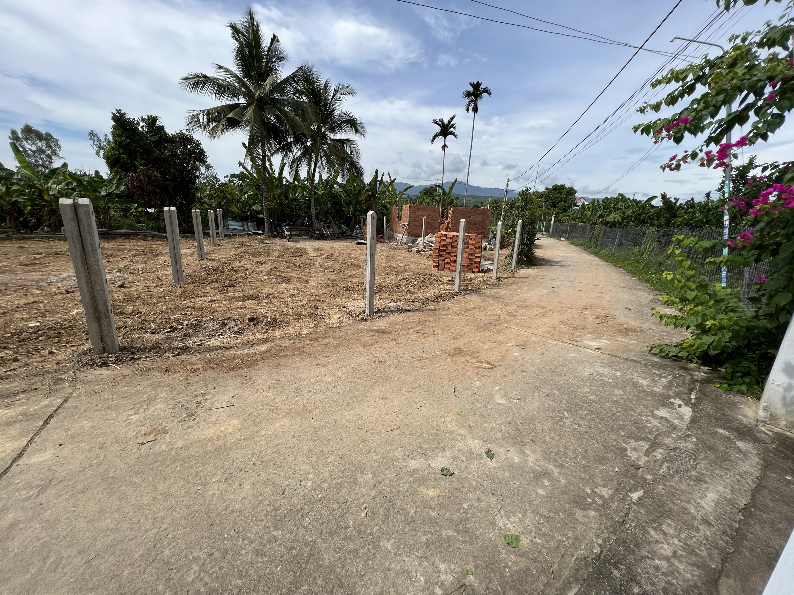 Bán đất Diên Lâm sát bên Chợ - cách Hương Lộ 39 chỉ 90m.