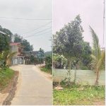 150m2