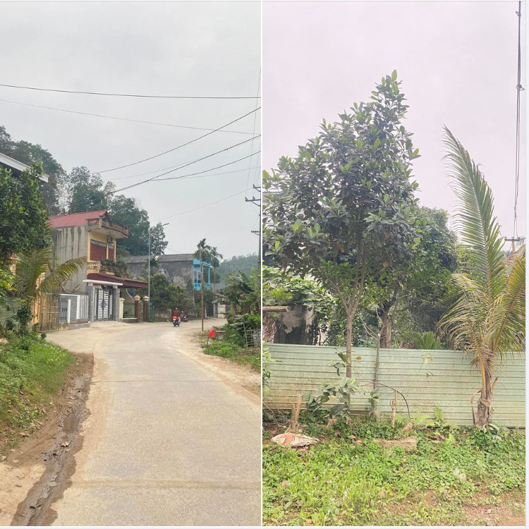 150m2