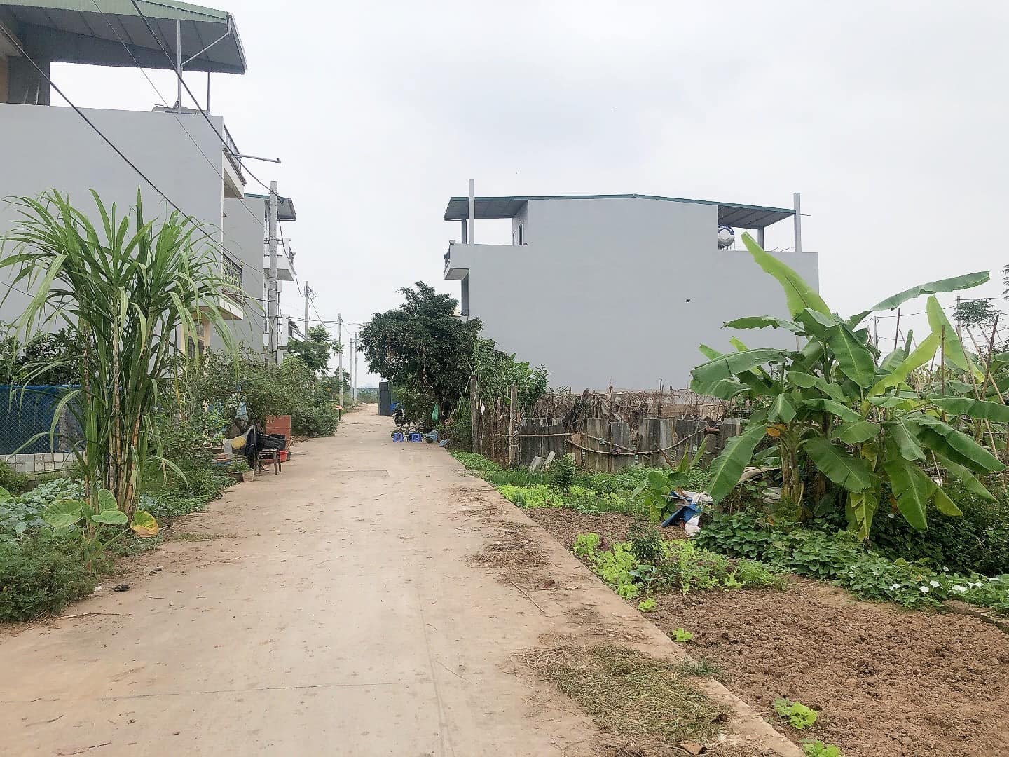 Cực Hot, Bán Đất Cầu Diễn, Từ Liêm, 55m mt6 Ô tô, Kinh doanh nhỉnh 5 tỷ