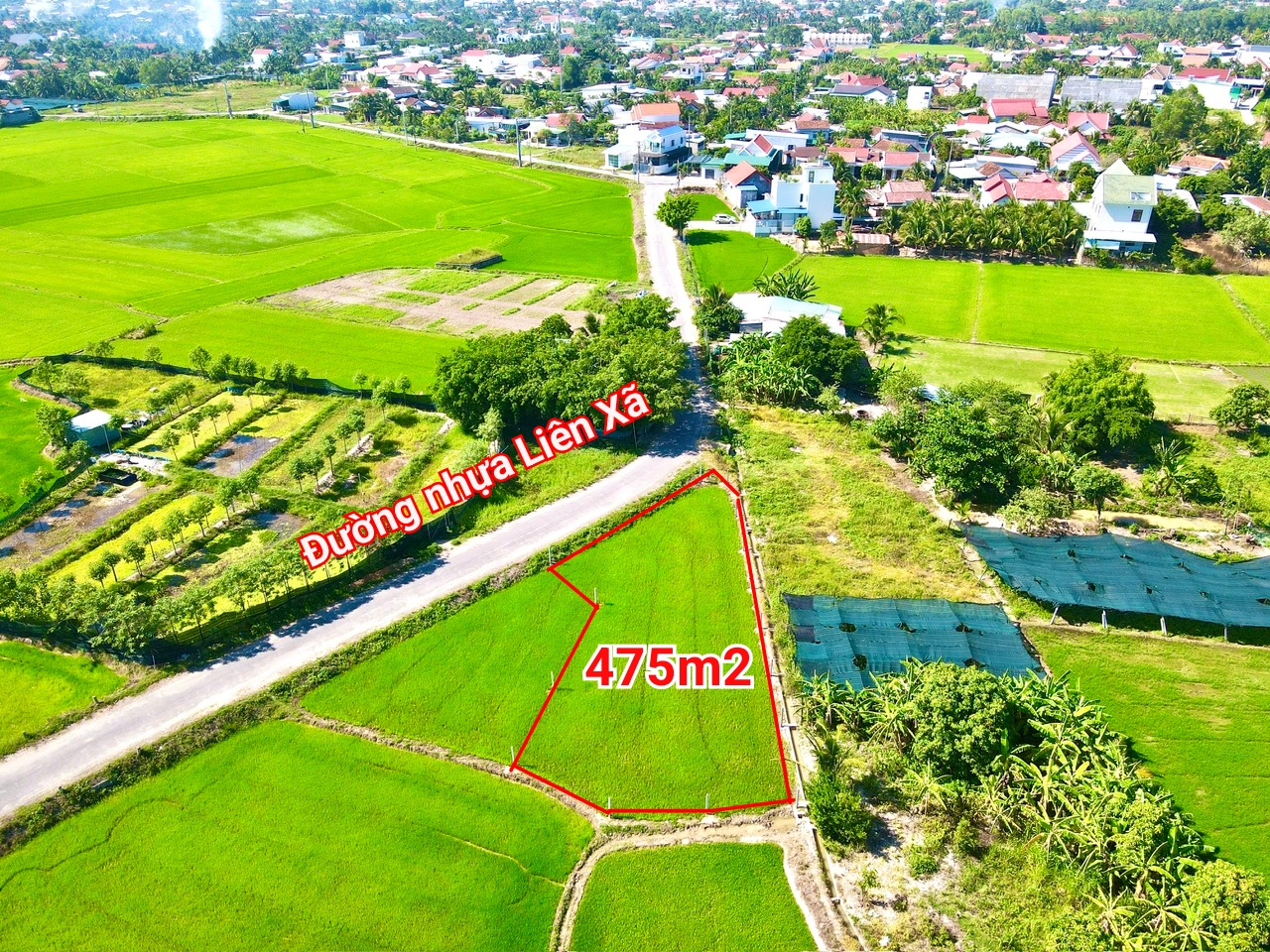 Bán đất làm vườn Diên Sơn giá rẻ mặt tiền đường nhựa liên xã.