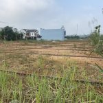  100m2 - 6