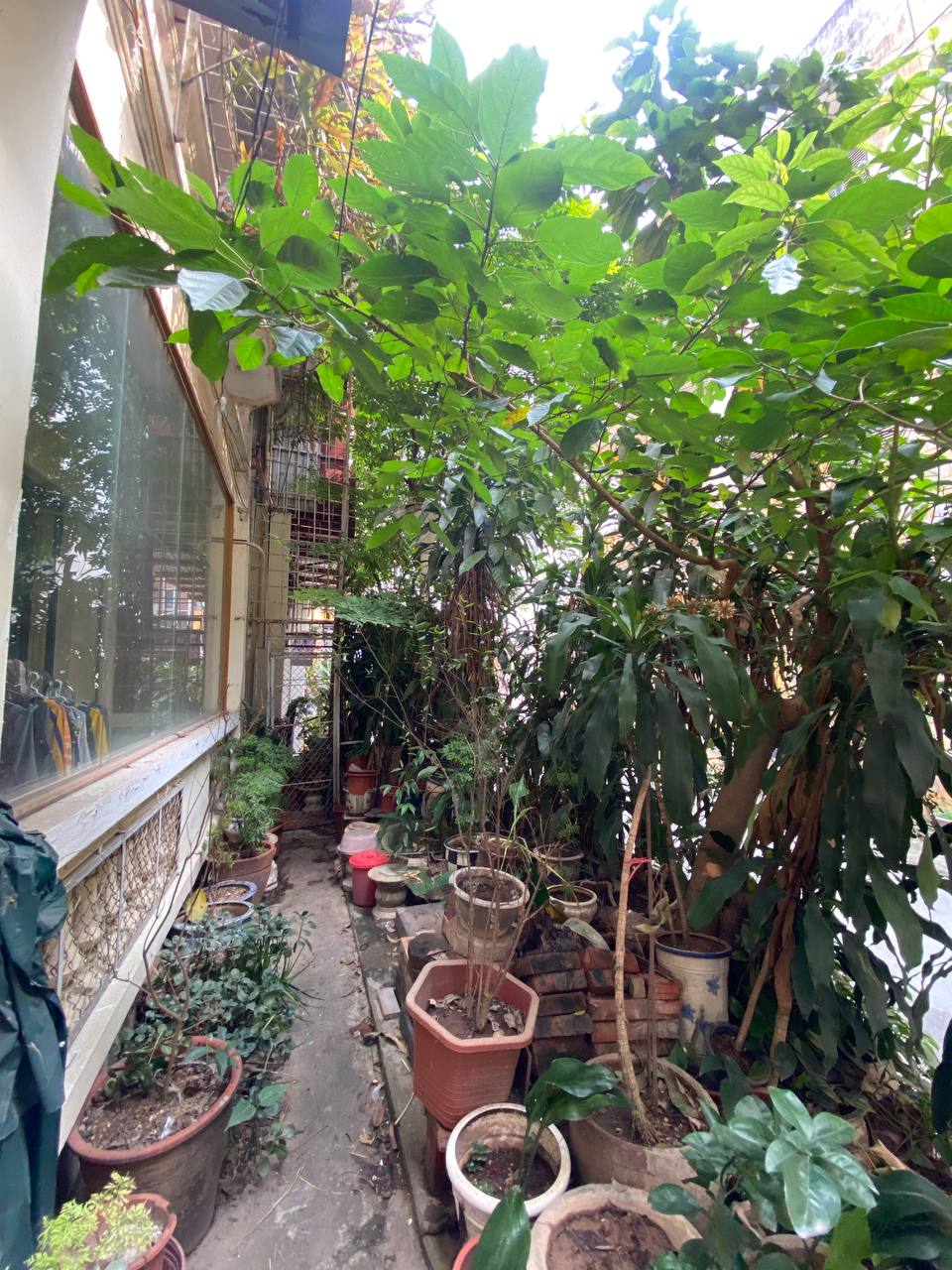 Nhà phố Đội Cấn, DT 200m2 x 2 tầng,MT 20m ban công đẹp hợp làm cafe,ăn uống để xe vô tư giá 30tr/th