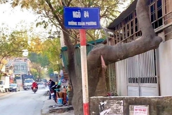 2 ban nha ngo 84 xuan phuong 2