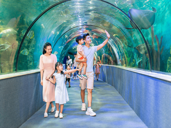 thuy-cung-times-city-3