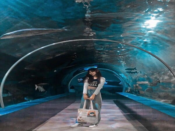thuy-cung-times-city-4