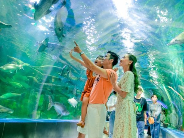 Một số thông tin tổng quan về Viện Hải Dương Học Nha Trang vien-hai-duong-hoc-nha-trang-1