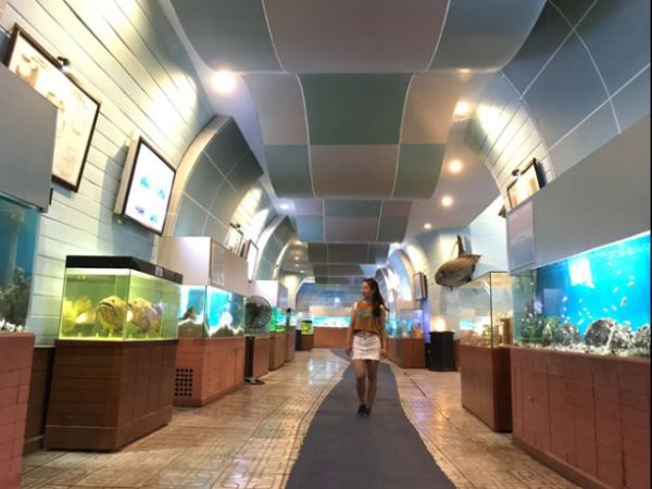 Tham quan kho lưu trữ tại Viện Hải Dương Học Nha Trang vien-hai-duong-hoc-nha-trangg