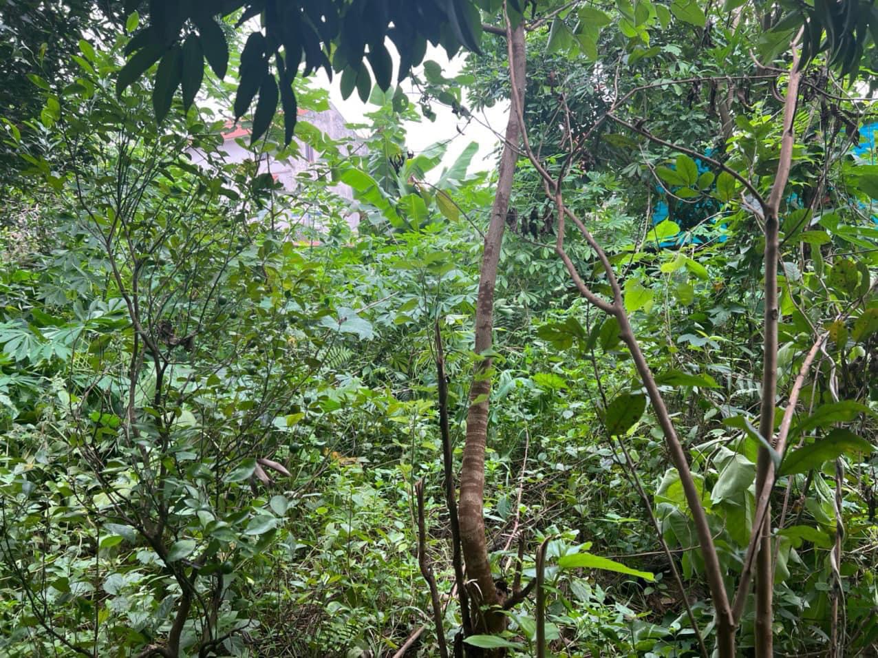 Cần bán 30 m2 Phường Đồng Mai, giá 999 triệu