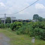  125m2 - 1