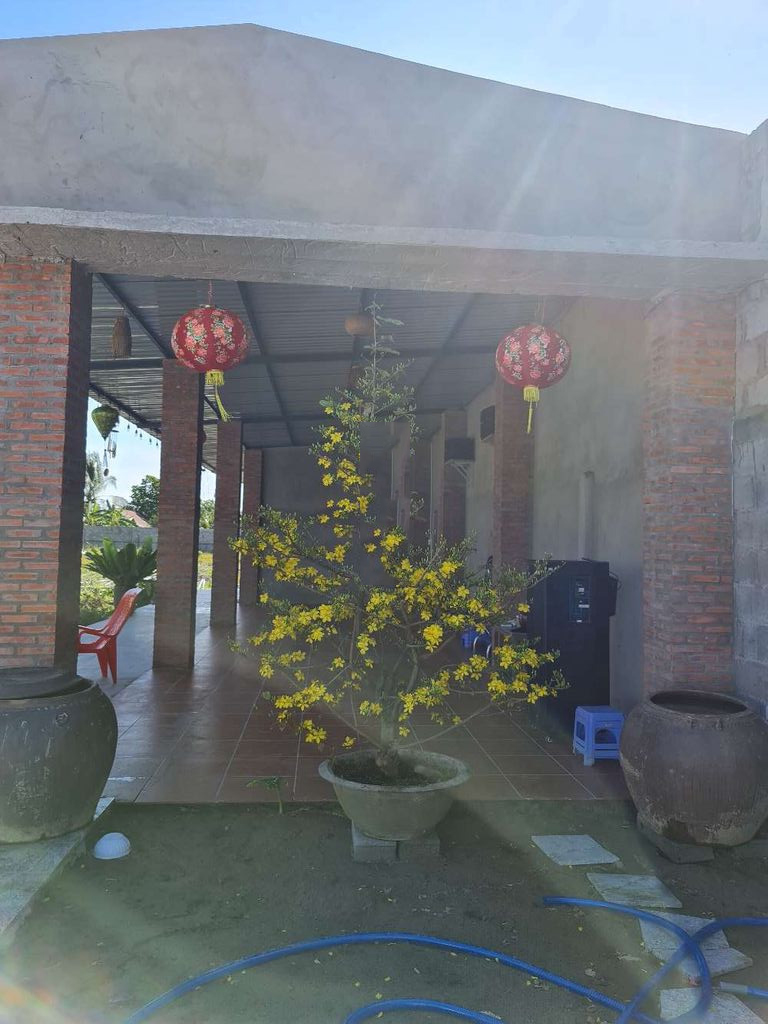 Chính Chủ Cần Bán Đất Kèm Nhà Giá Rẻ Trung Tâm Mỹ Tho