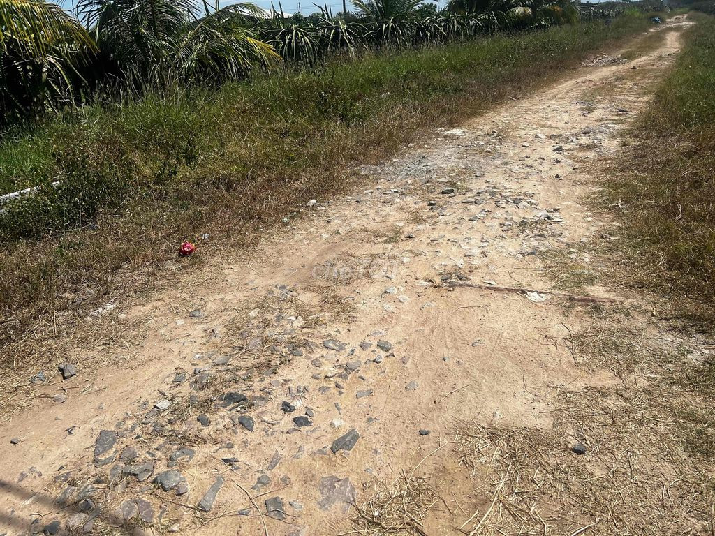 CHÍNH CHỦ BÁN 2900m2 ĐẤT SỔ HỒNG RIÊNG GIÁ RẺ ĐƯỜNG HẢI THƯỢNG LÃN ÔNG