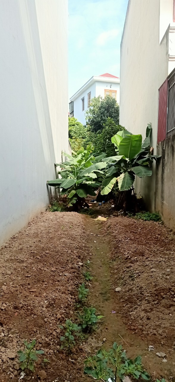 Đất hót Ngô Gia Tự, ô tô, 75m, mt 4m, giá nhỉnh 4 tỷ.