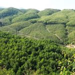  5000m2 - 1