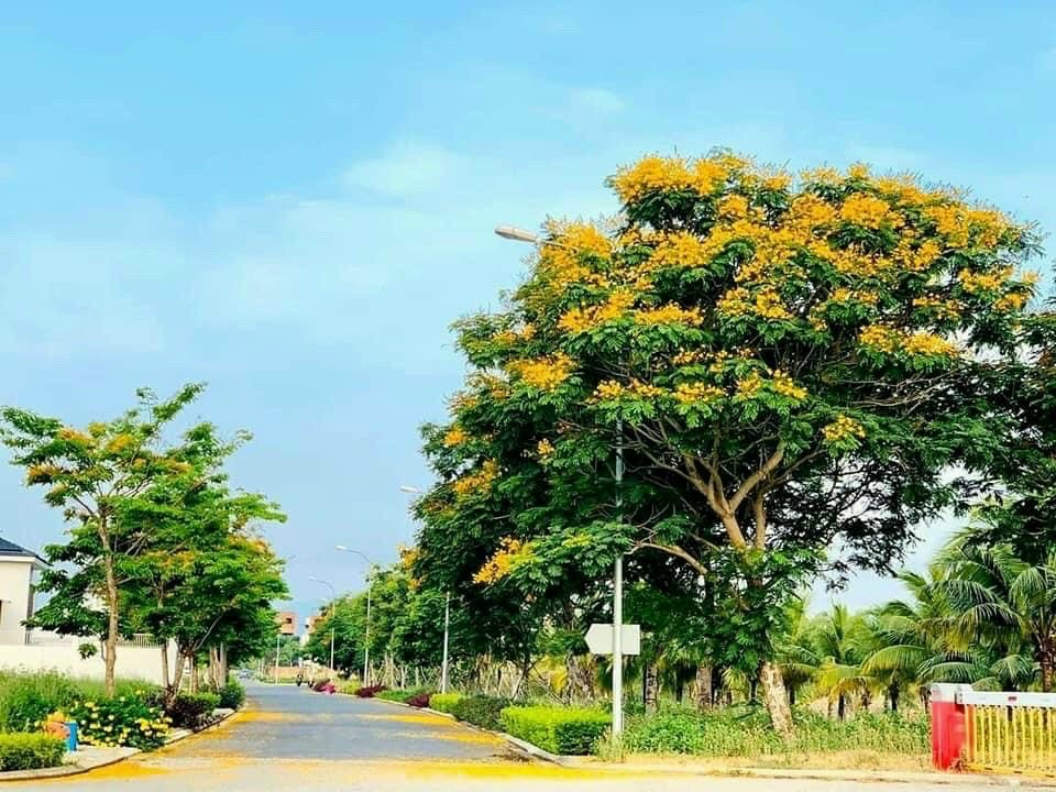 Chào mừng đến với lô đất biệt thự 399m2 tại khu đô thị FPT City Đà Nẵng