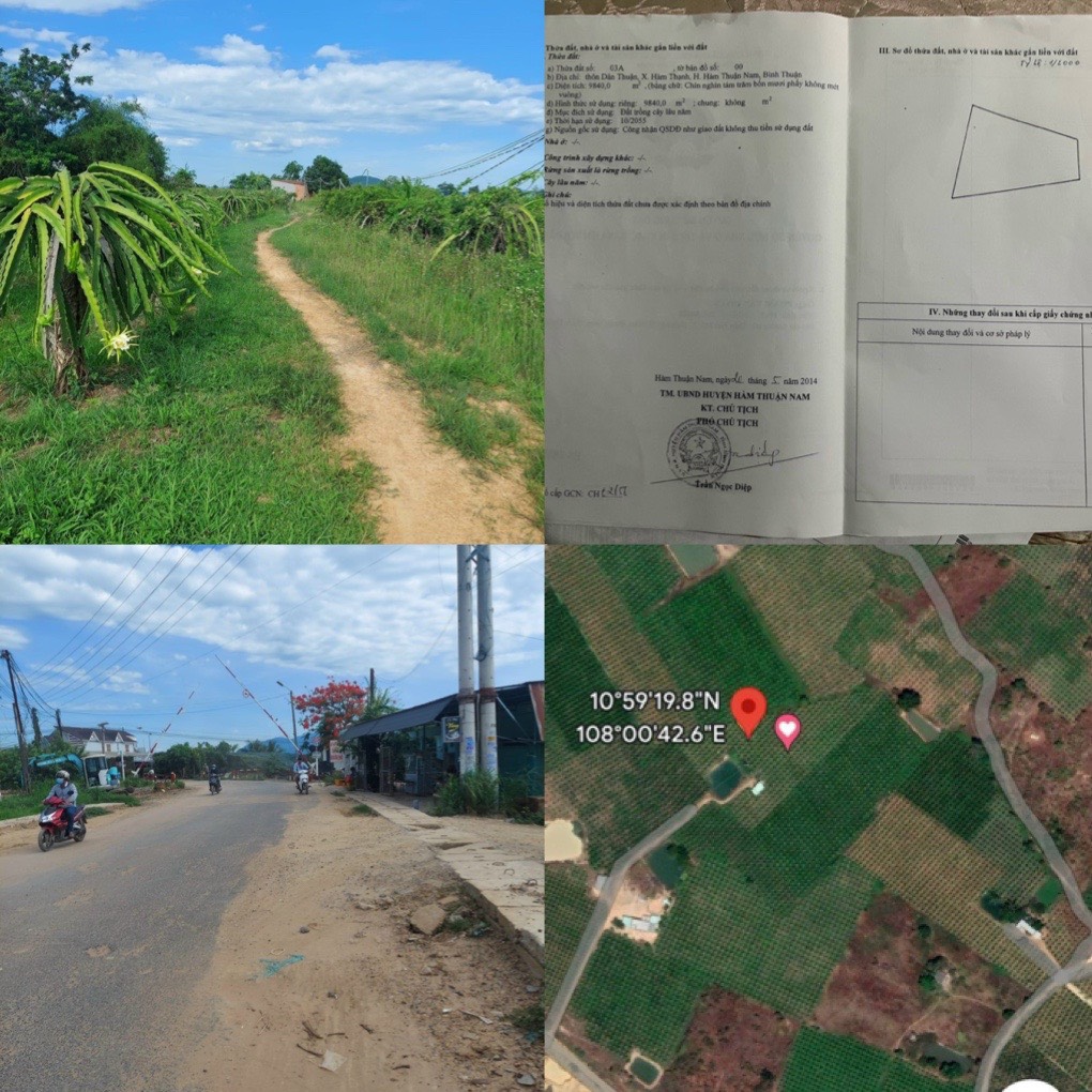 BÁN ĐẤT HÀM THẠNH HÀM THUẬN NAM, TỈNH BÌNH THUẬN.