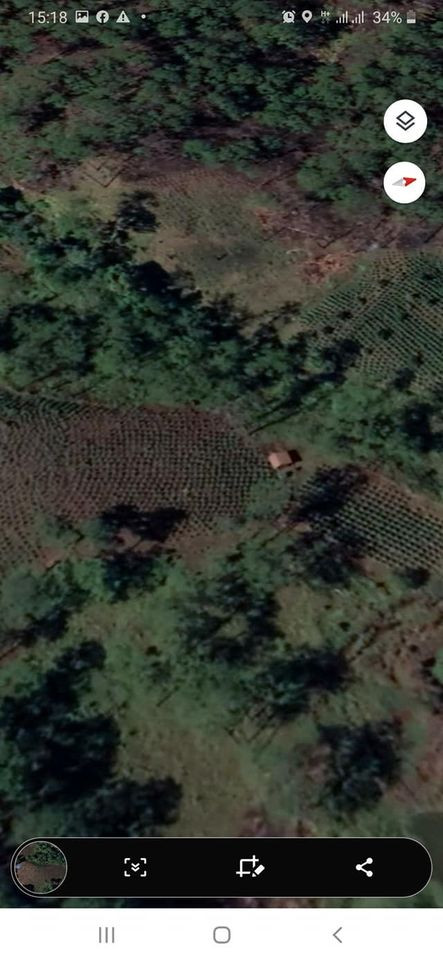 Chính chủ cần bán lô đất tại Đạ Chay, Lạc Dương, Lâm Đồng