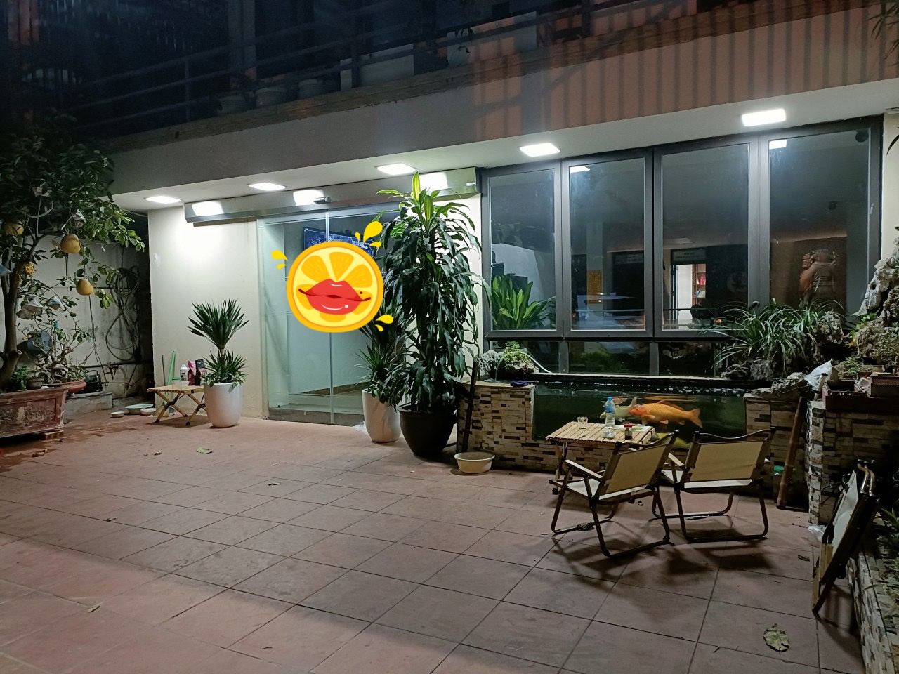 Mặt Phố Mai Hắc Đế-Mặt Tiền 11M 283M2 -125 Tỷ - 1 Chủ vuông Vắn -Được Xây cao