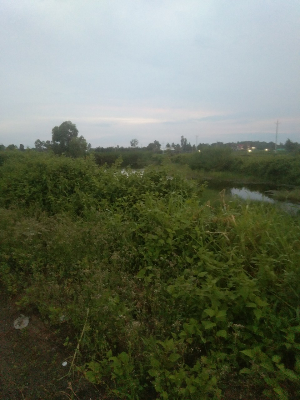 Bán Đất Vị Trí Đẹp Tại Tham Đôn, Mỹ Xuyên, Sóc Trăng