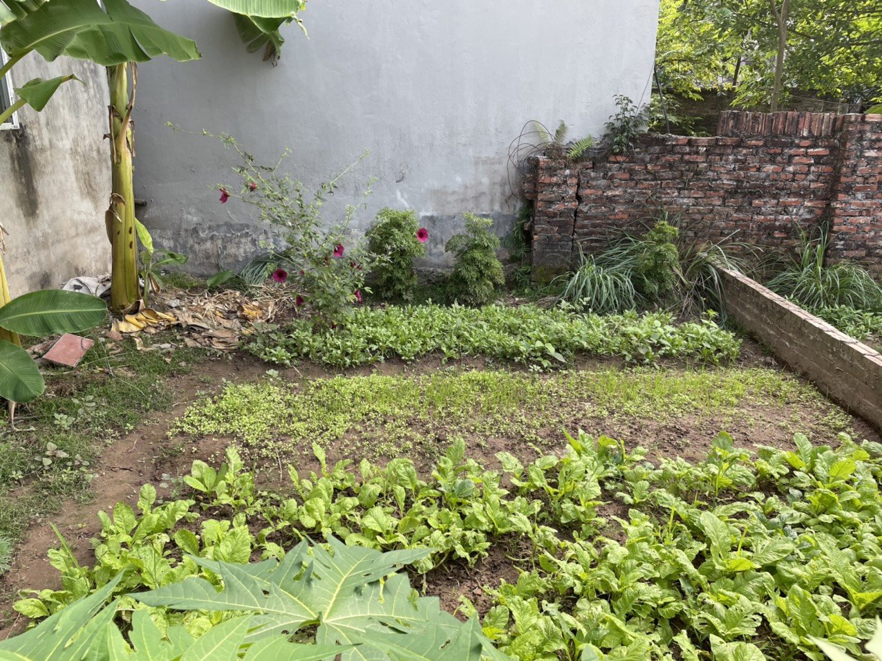 Cần tiền làm ăn bán gấp 62m2 trục chính Giao tất A, Kim Sơn, Gia Lâm. Giá 2.5ty.