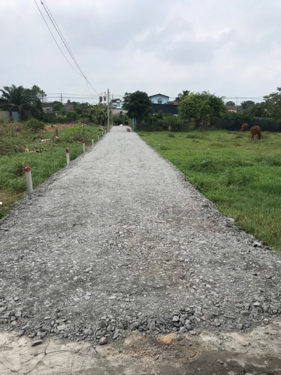 CHÍNH CHỦ CẦN BÁN GẤP 16 LÔ ĐẤT XÃ PHƯỚC VĨNH AN, CỦ CHI