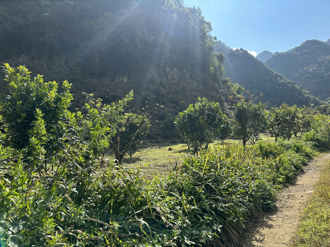 Cần bán lô đất view nghỉ dưỡng - Giá siêu đầu tư tại Vân Hồ, Sơn La