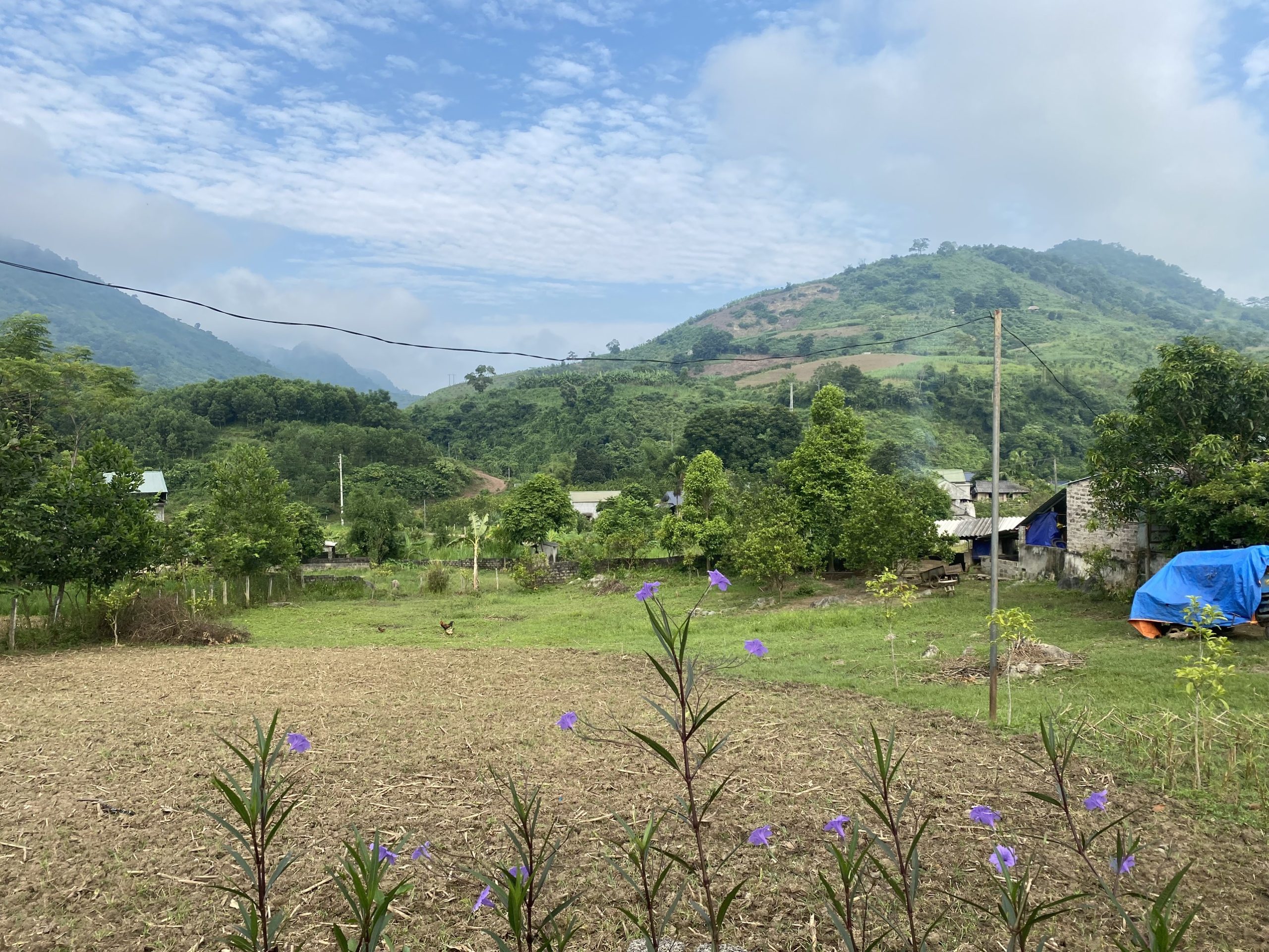 Chỉ 900tr sở hữu ngay mảnh đất gần 1000m gần công viên di sản Cao Phong - Hòa Bình, ô tô đỗ 4 làn.