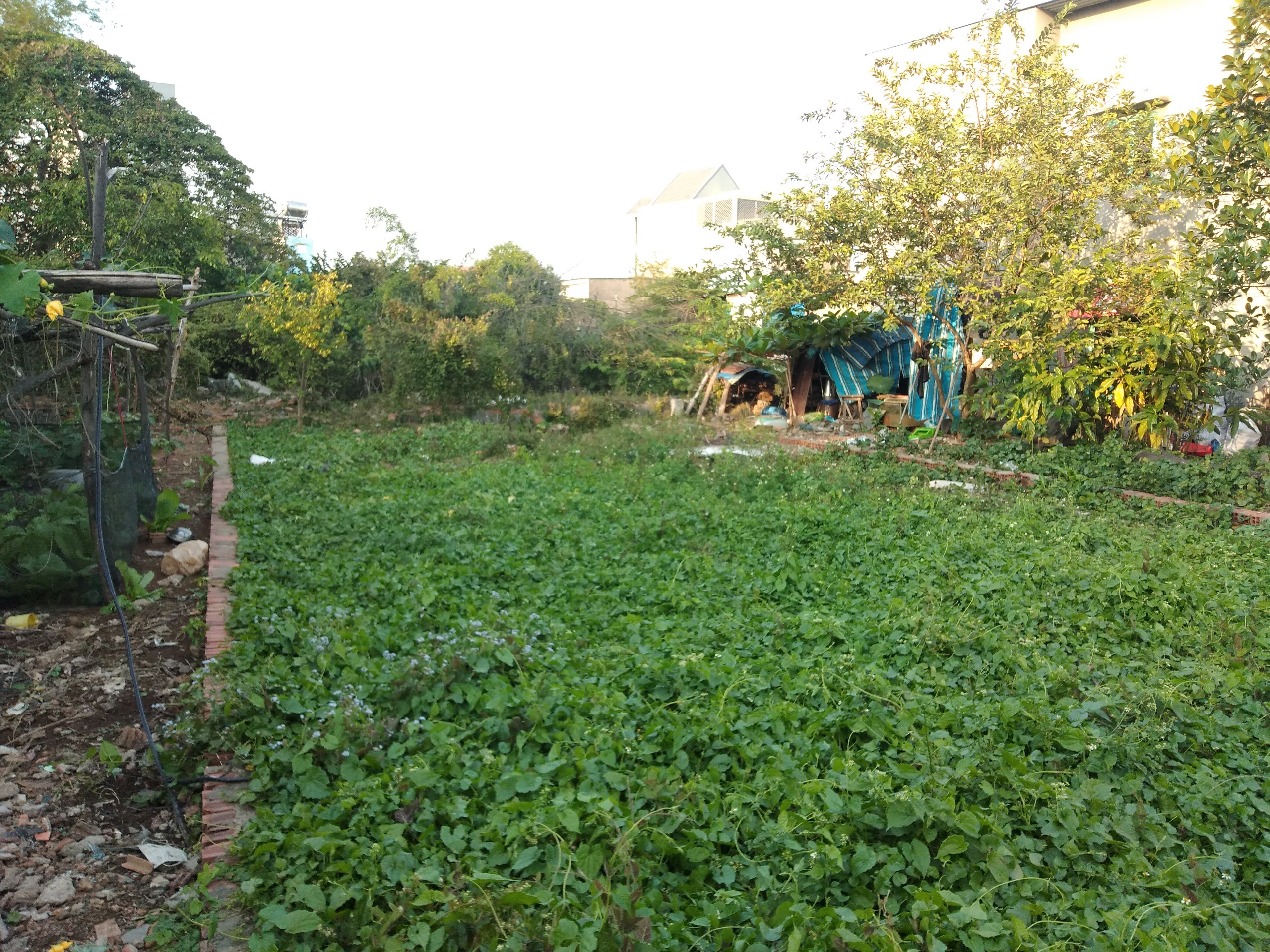 Bán đất đẹp 122m2 giá bán 3, 4 tỷ, xã vĩnh lộc B, Huyện Bình chánh, TP. Hồ chí Minh
