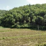  11000m2 - 1