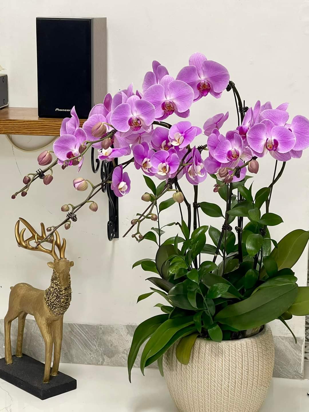 Siêu phẩm Thụy Khuê, Tây Hồ, mới nhất 2023, ô tô đỗ cửa, 42m2, 5T, MT 4.2m, 7.99 ty