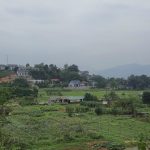  3000m2 - 6