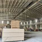  3100m2 - 1