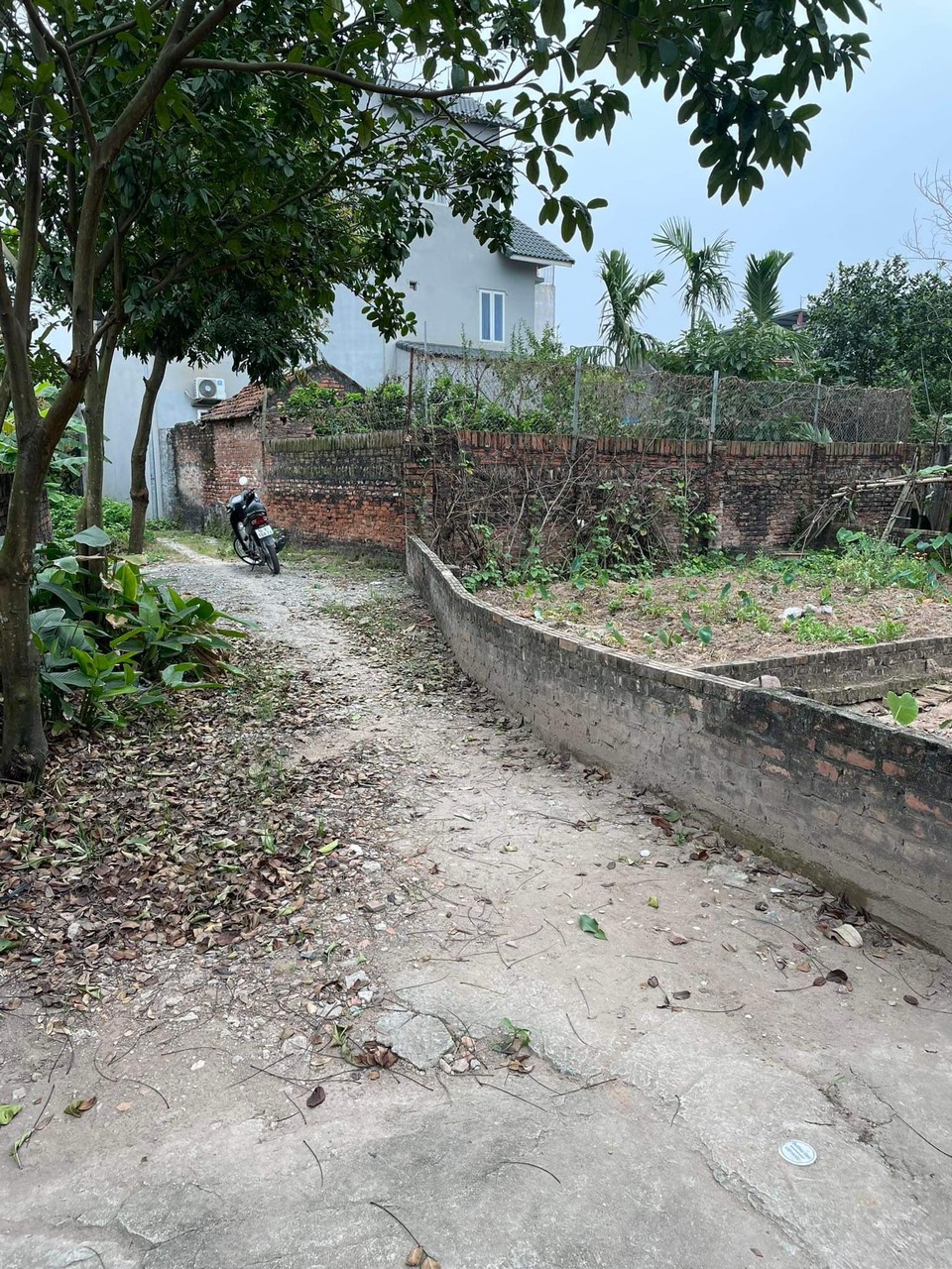 42m2