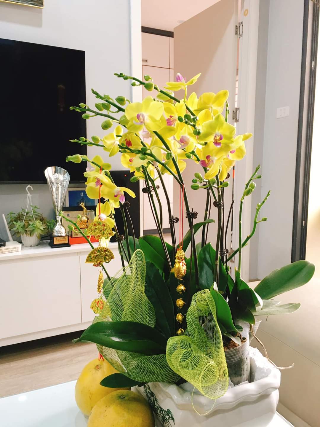 Siêu mẫu Kim Mã Thượng, Ba Đình, mới xây 2023, sát phố, nội thất gỗ lim, 48m, 4T, Mt 4m, 4.55 tỷ