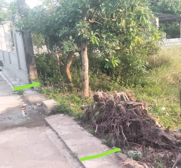 Chính chủ cần bán lô đất tại Thôn Hợp Châu - Nam Thịnh - Tiền Hải – Thái Bình .