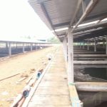  100000m2 - 5