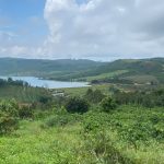  10700m2 - 3