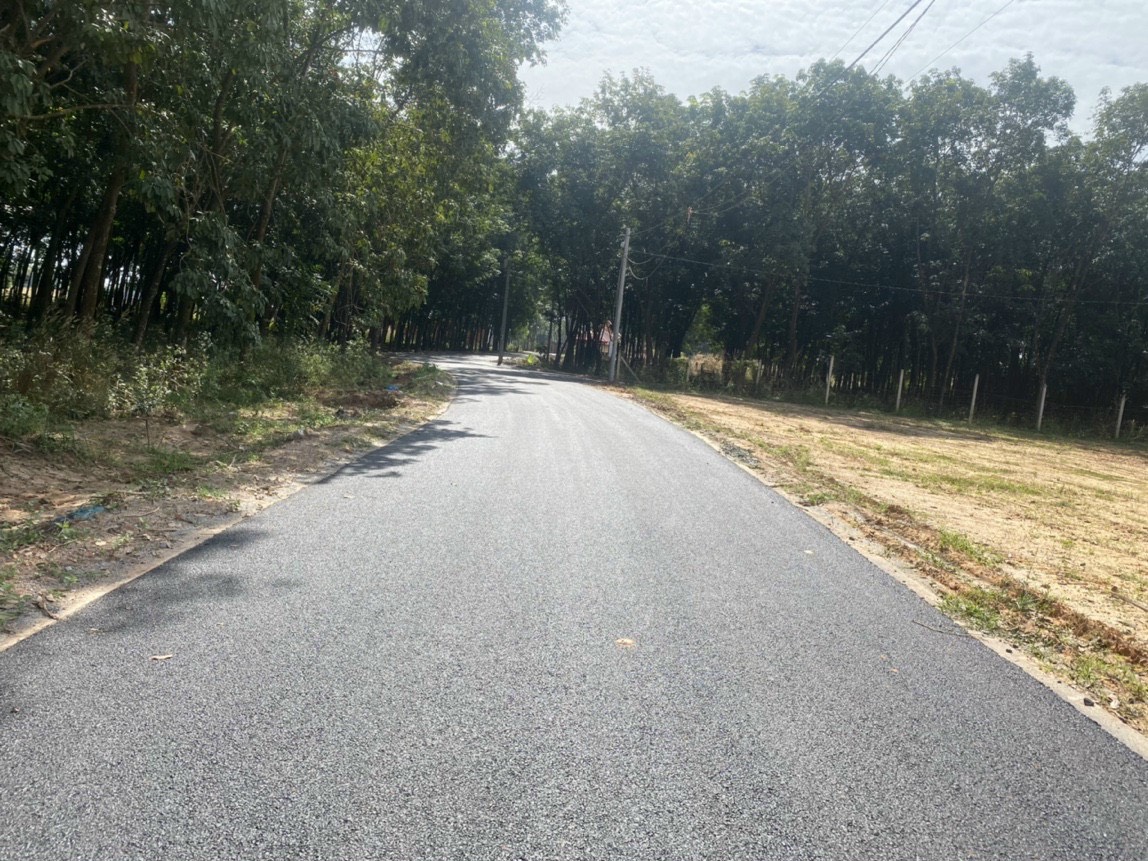 Bán đất tại khu phố 2 phường Tân Định_Bến Cát_Bình Dương