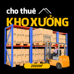  3000m2 - 3