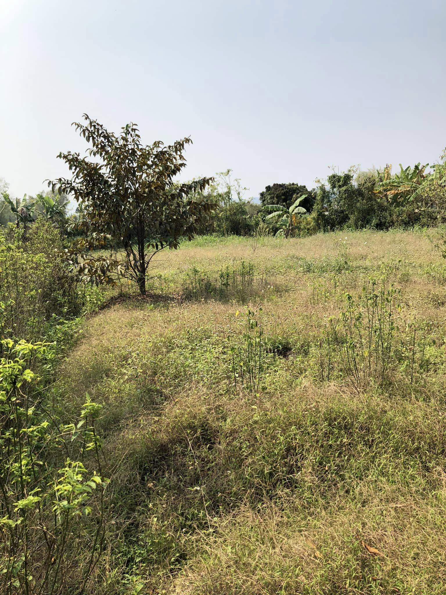 Em có lô đất vườn giáp đường 60m cần bán