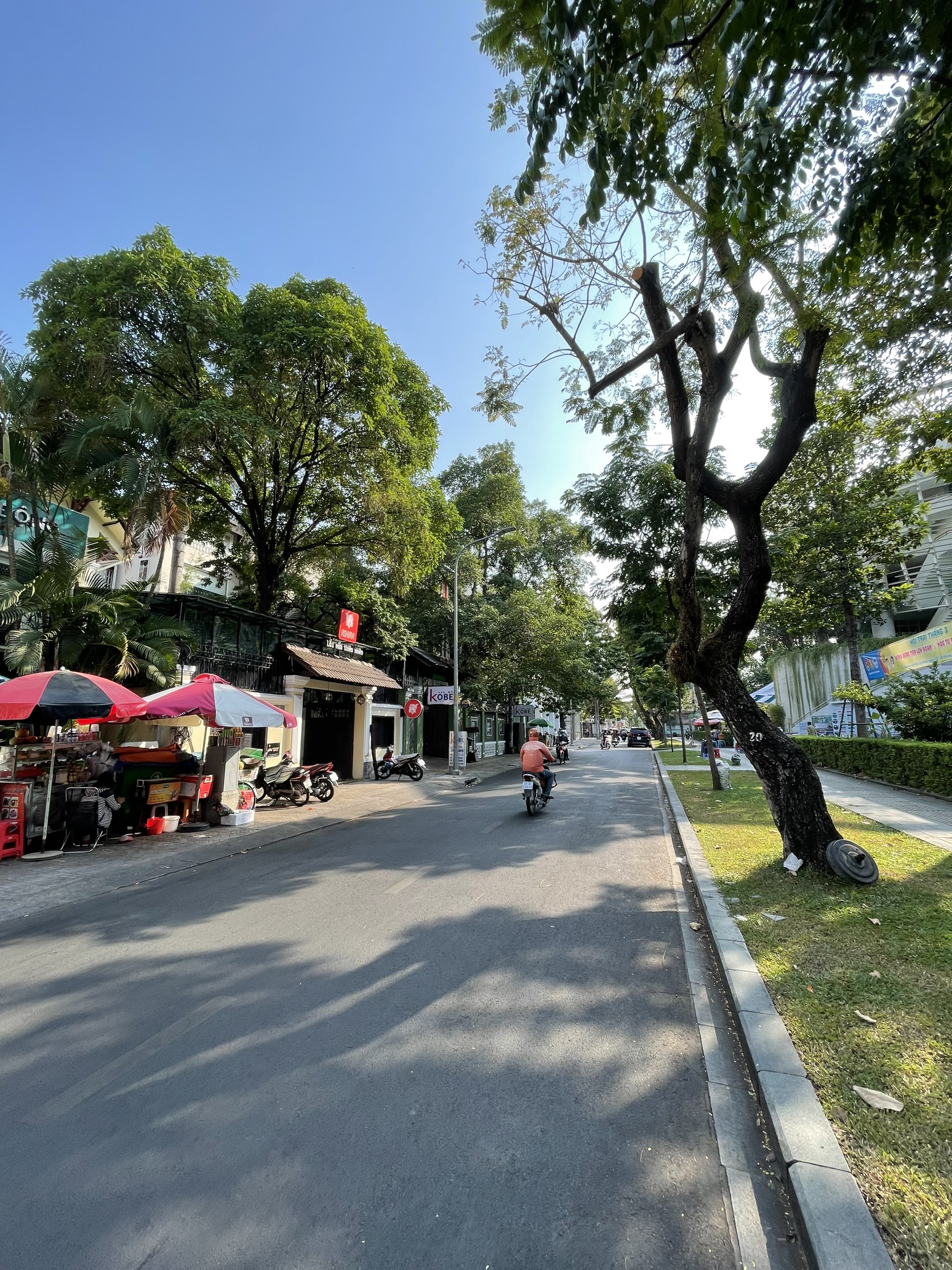 Cho Thuê nhà MT Tú Xương. S: 15m*28m. Giá: 20.000 USD. Nhận nhà ngay