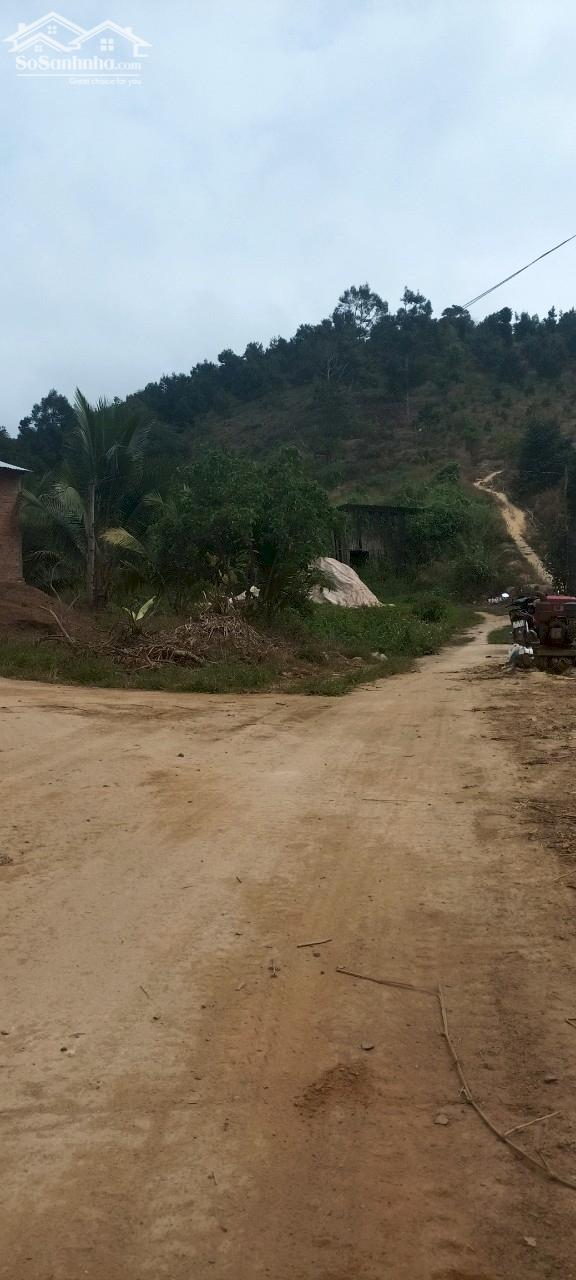 CHÍNH CHỦ CẦN BÁN LÔ ĐẤT ĐANG TRỒNG SẦU RIÊNG NGAY ĐA MI - HÀM THUẬN BẮC - BÌNH THUẬN